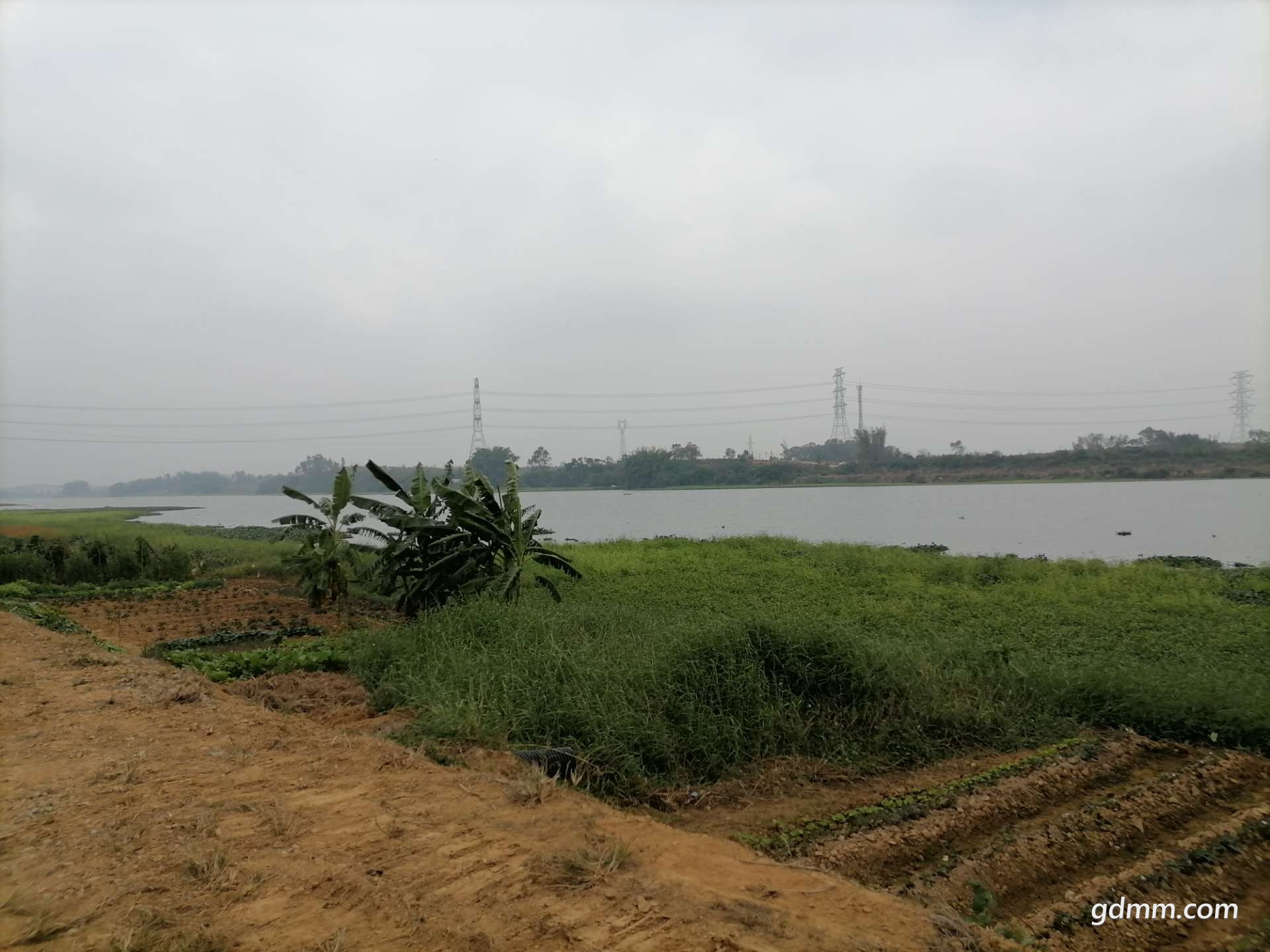 20220128164027front2_0_3282384_FnSsuqnIdB_keu1k_rnJyqboqiL1.jpg