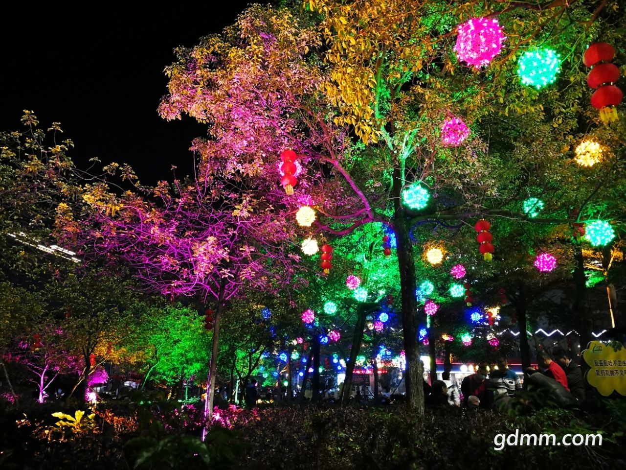 20220128220312front2_0_3276746_Fo648tCMH-xFtdgzZ16pHT9FE_6D.jpg