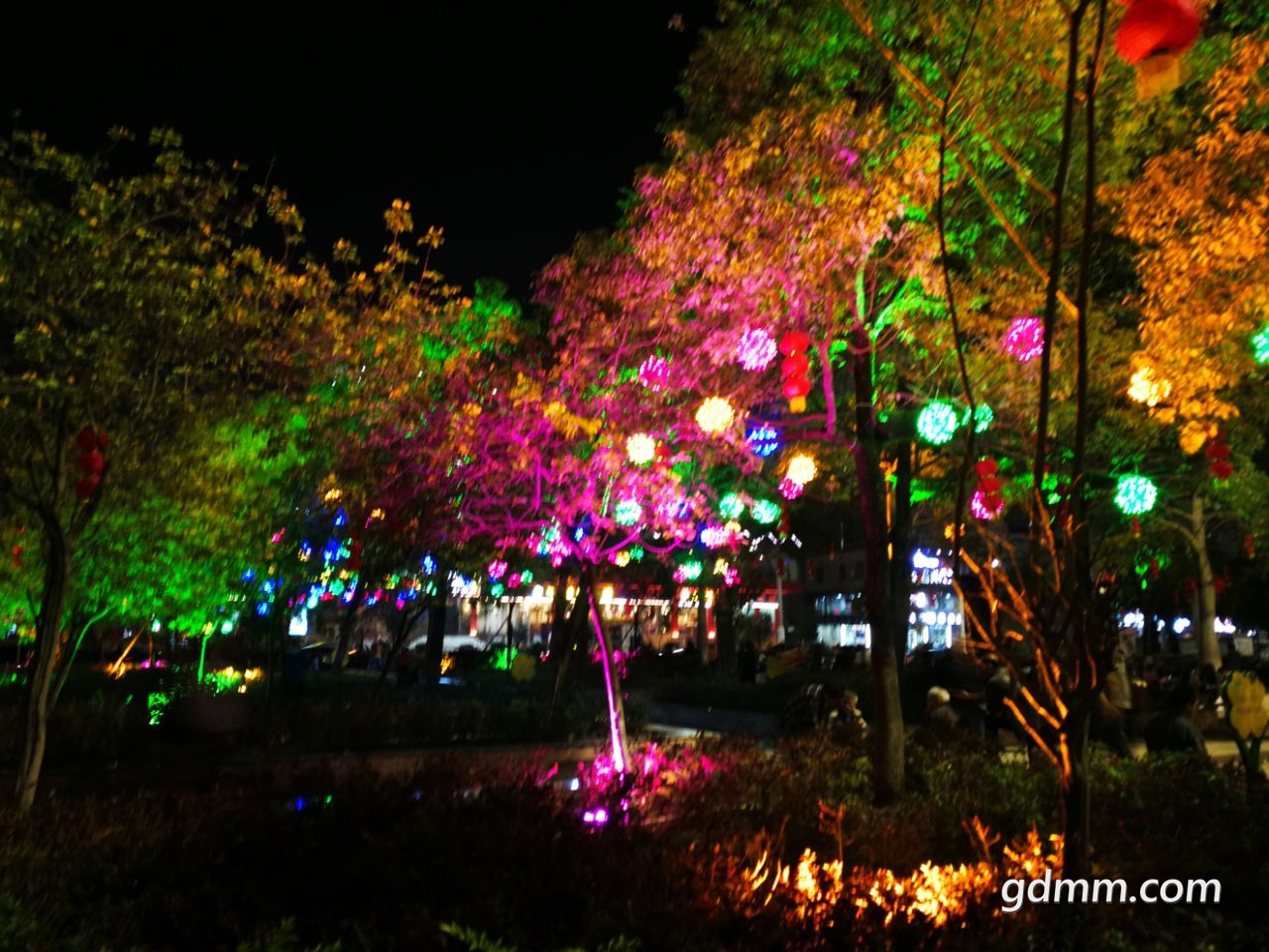 20220128220312front2_0_3276746_FnAYALJhgfRnlQgA_dwDzo6OSFXw.jpg