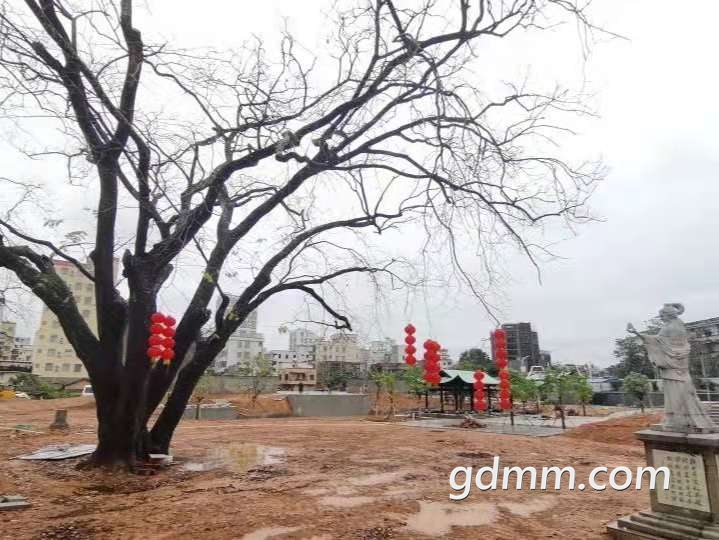 20220222202401front2_0_3257881_FjeasGVbIXM-spG1he7Ae1lng9aB.jpg