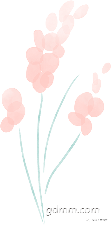 172109ffkfxxa4cge7gafe.png