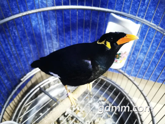 ΢Žͼ_20220302145118.png