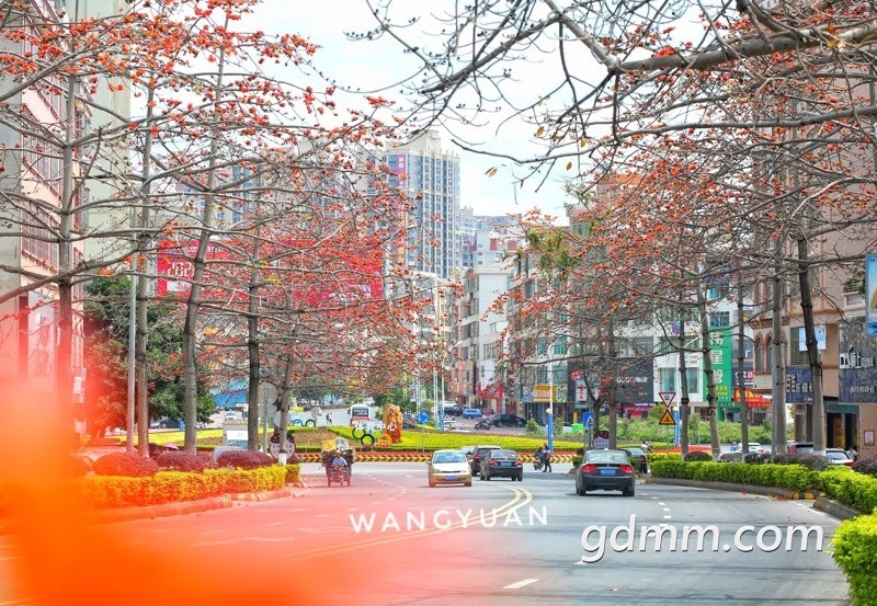 121409qqqdcvo1o77b13bn.jpg
