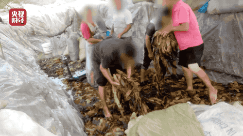 2fb56fc917accd0e149ed53f3723af4b (1).gif