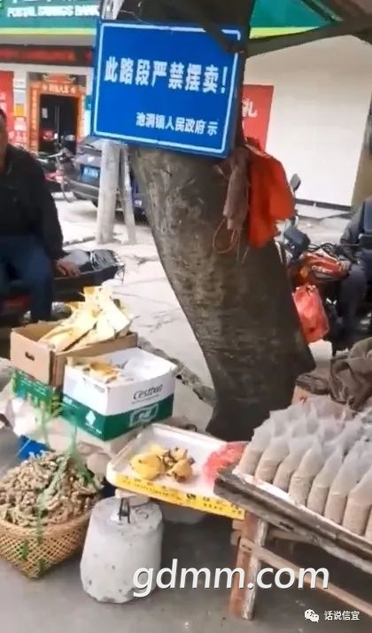 微信图片_20220418103851.jpg