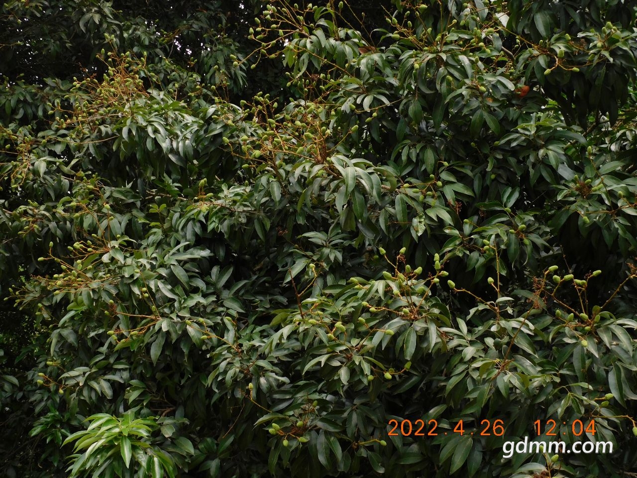 20220427100929front2_0_3377019_FqzKkCw90q2IZ2Fy5XNMcUnlLMwn.jpg