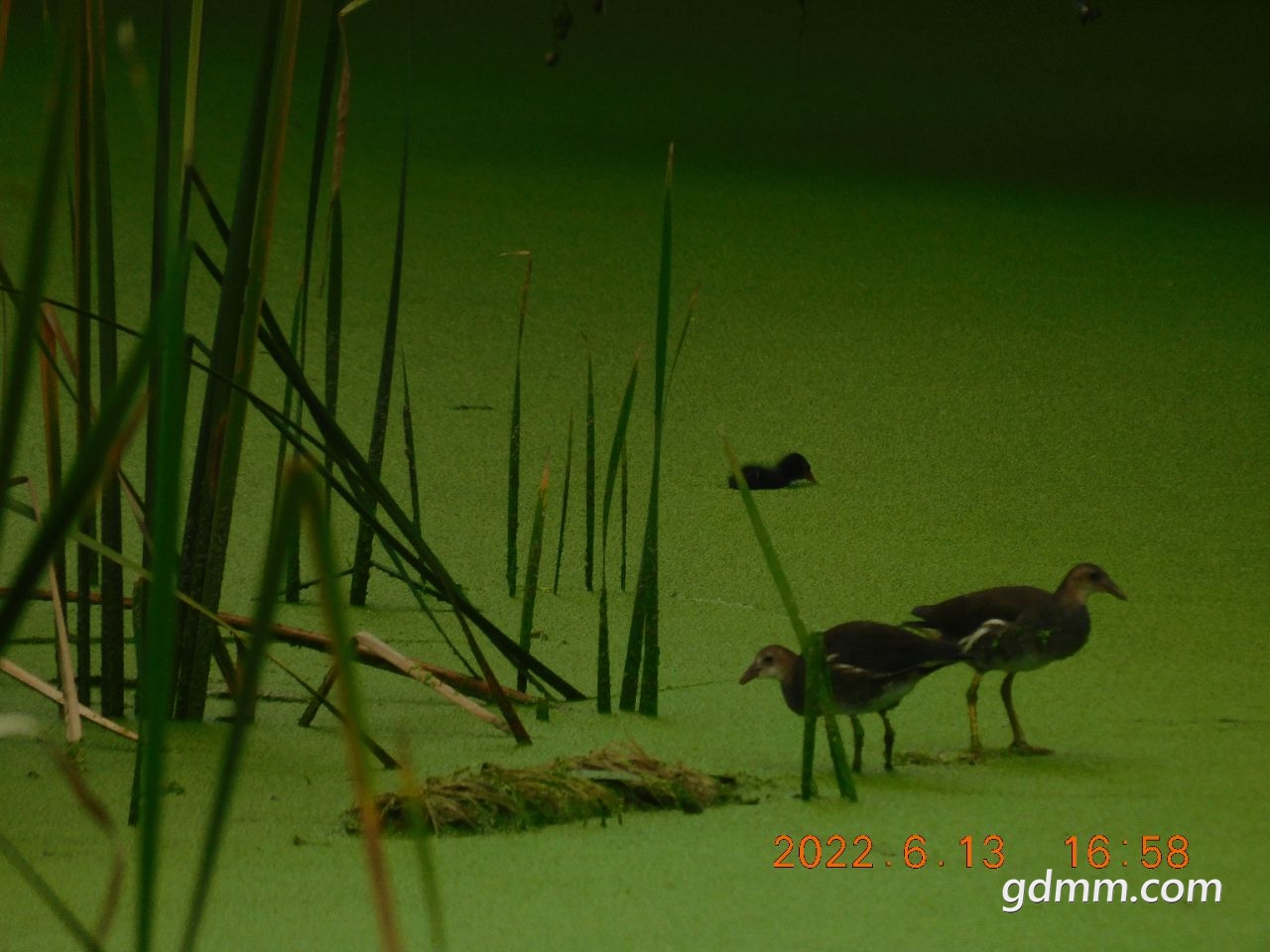 20220614173850front2_0_3377019_FsYLIuM1SGBBb1PBEvnDtCvwAUHR.jpg
