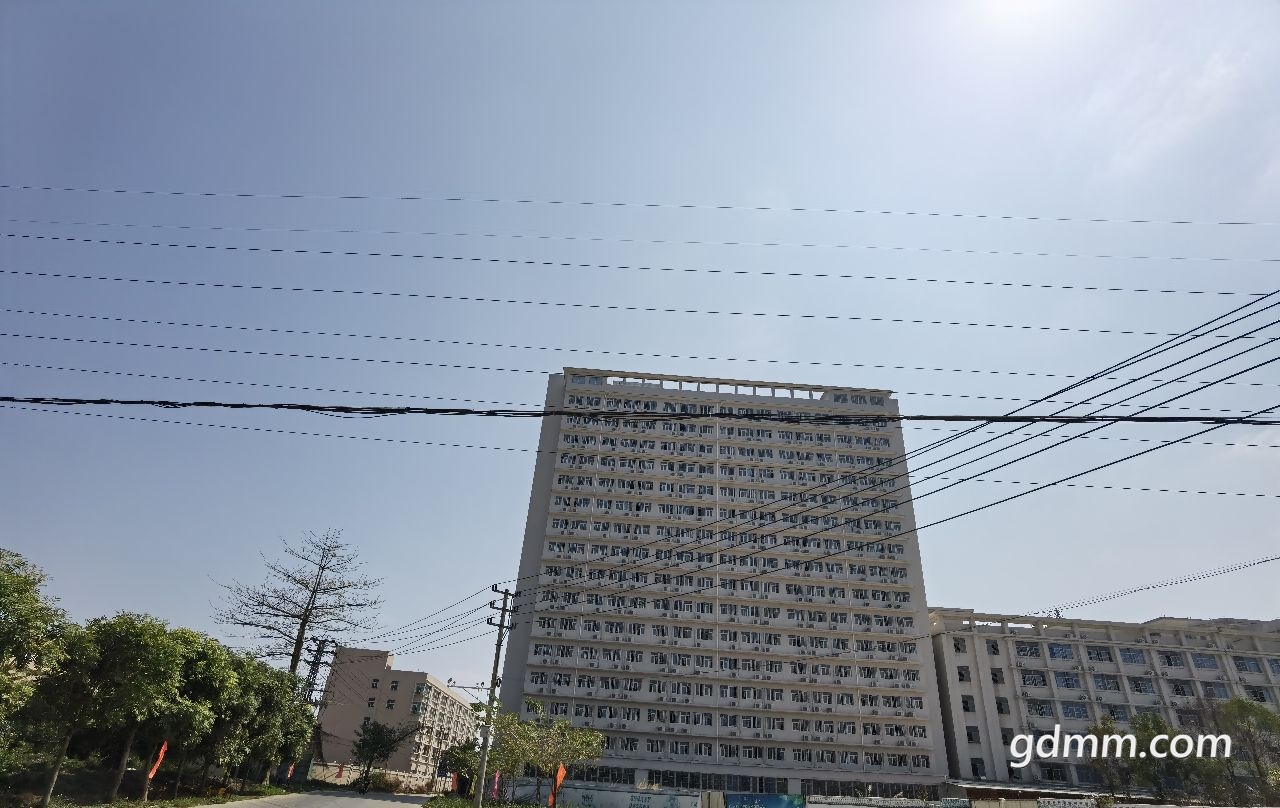 20220621223312front2_0_3372195_Fk1VYtwijV9blbQa9h-JB4OO-KB4.jpg