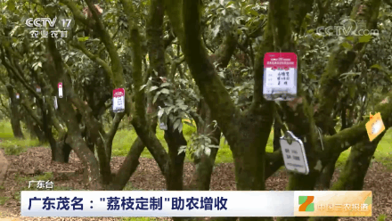 20220627144019front2_0_3379075_nqJRRy-xiIhbHTV-m_U2JXzT43ln.gif