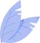 153845aux3o3xvorgznrpw.png