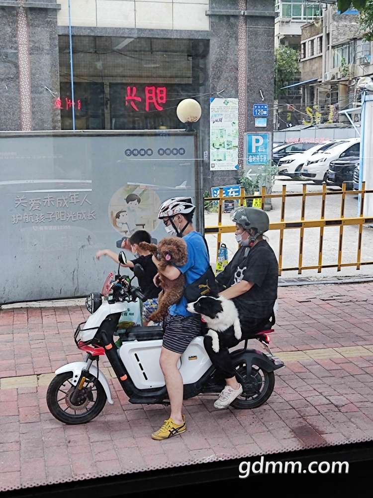 20220702102248front2_0_3270670_Fquk9-KZCna1UbauAw2Gu2SqFarp.jpg