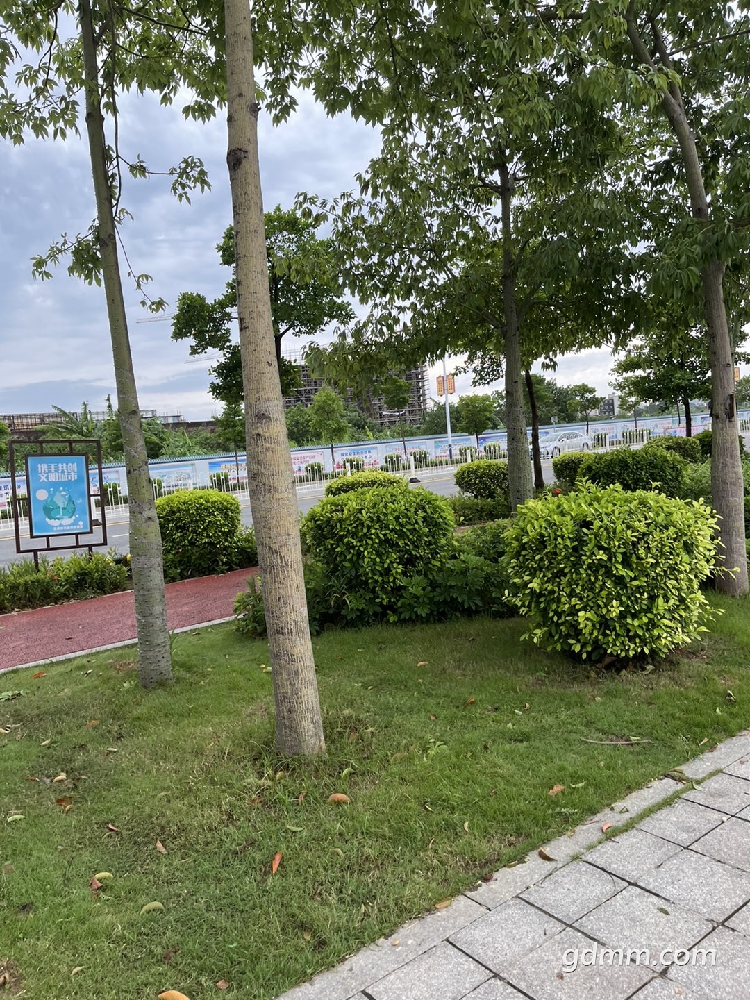 20220706112246front1_0_3341987_FreVts3OZjmTcnVArbbqqwVCuMu7.jpg