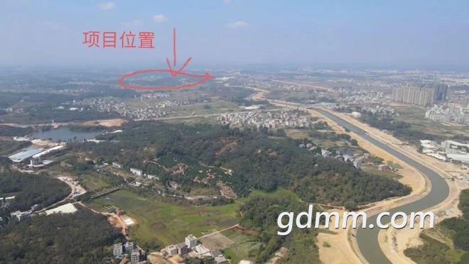 5555.jpg