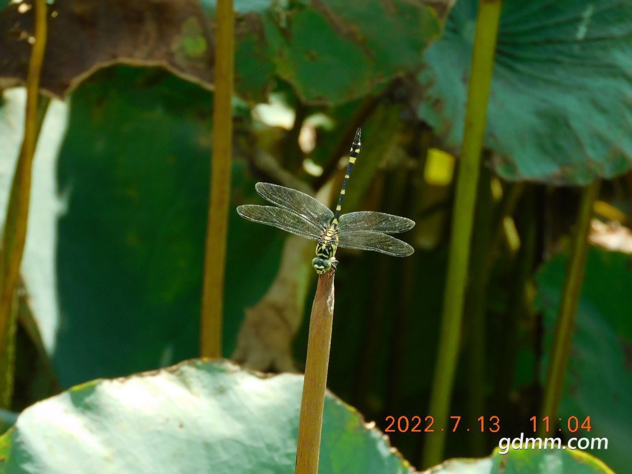 20220713112028front2_0_3377019_FhsOw4mEXS76wyZ84yZkhkoBDKrE.jpg