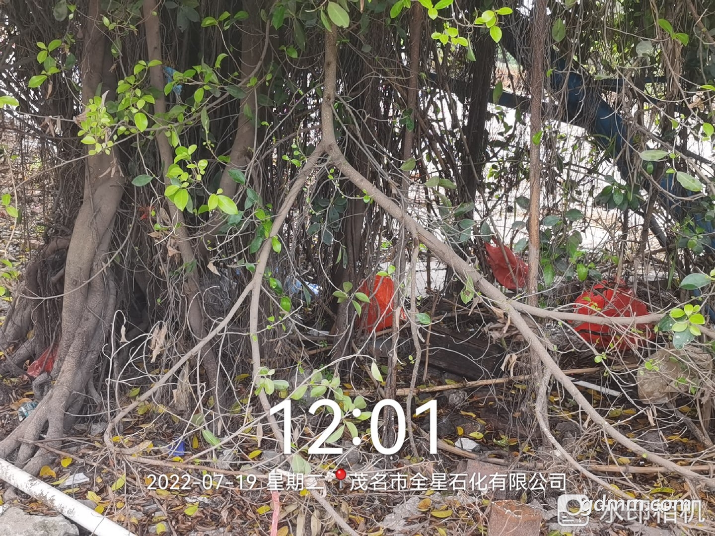 20220719124725front1_0_3380239_Fu8vP_dCok3dTzuX3vrqCNXb-Uco.jpg