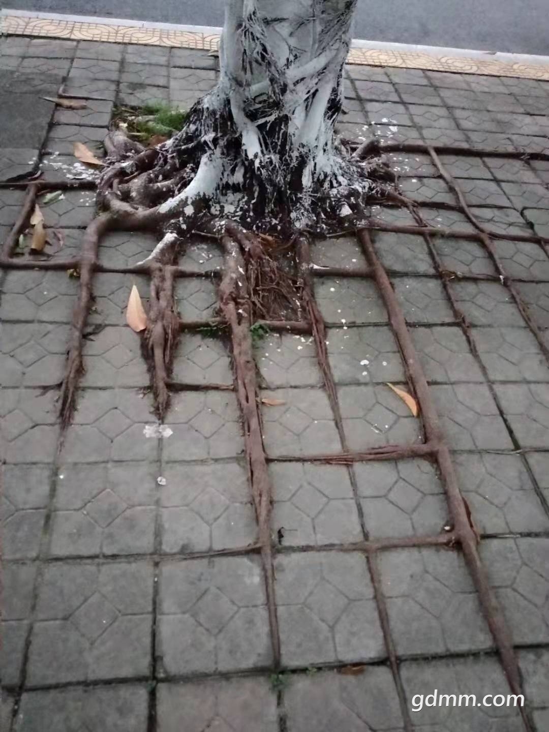 微信图片_20220725140255.jpg
