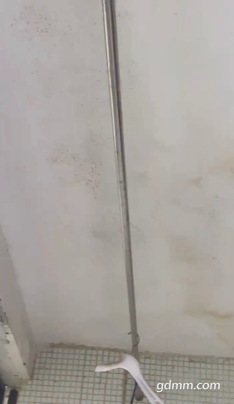 컨巢ù