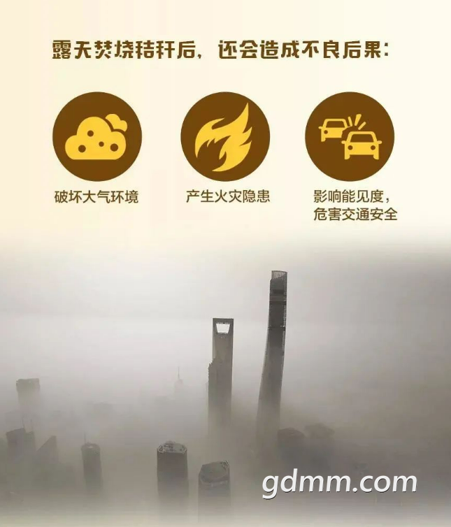 360ͼ20220802170425854.png