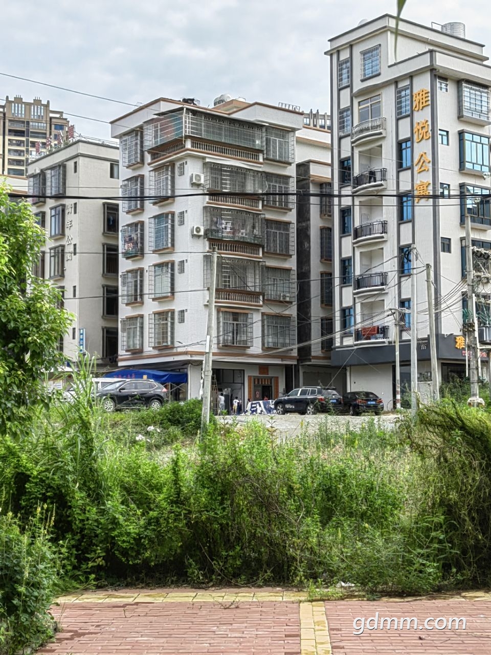 20220813100126front2_0_3377019_FhoVGh_YIba_TWRReGCbPau-2Pnk.jpg
