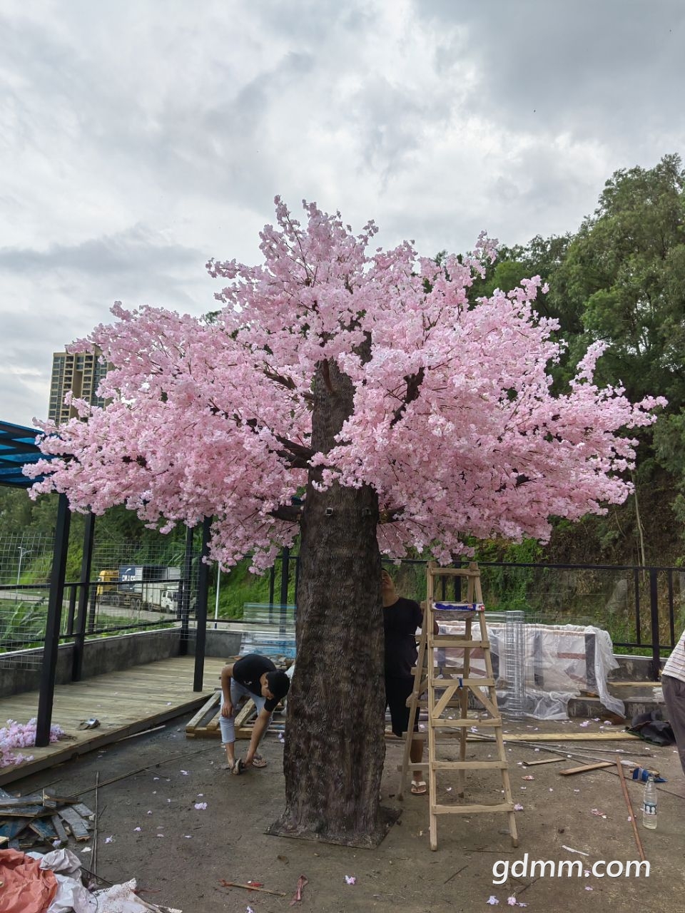 20220813163306front2_0_3377019_FpZGc0AHunW5hTZgyUYakm7XhCg0.jpg