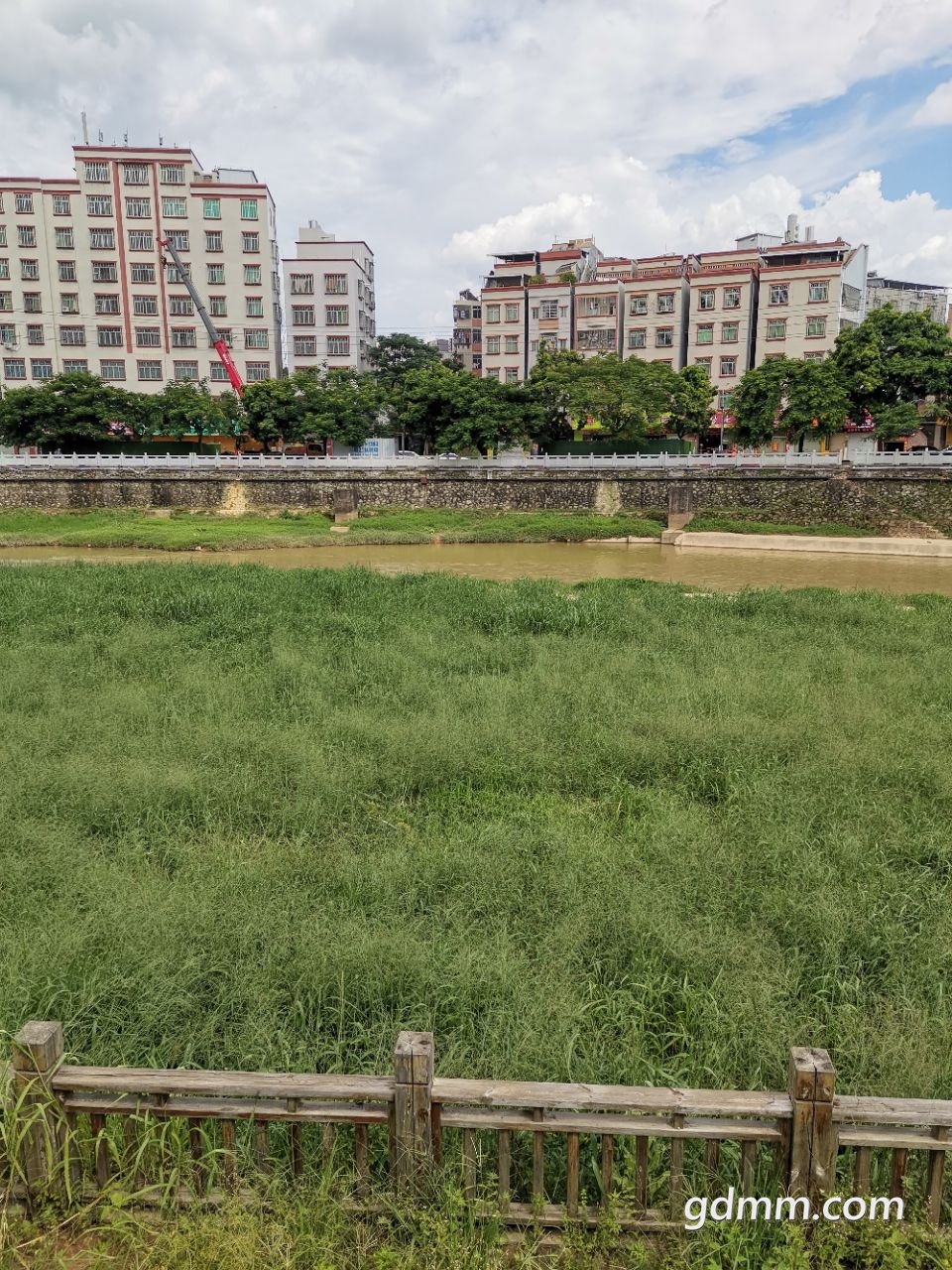 20220815194333front2_0_3261617_FiE79J09zBUl81OAirWnm3s36NI2.jpg