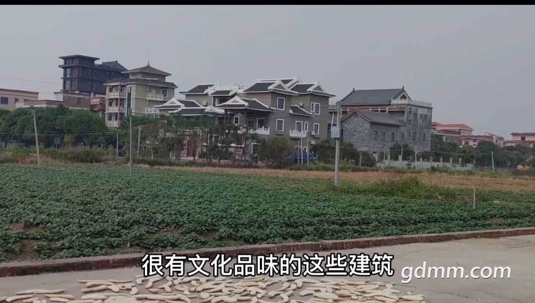 20220816121140front2_0_3375006_FnYmJsukDNoojkAjKKACoSzM4ONG.jpg