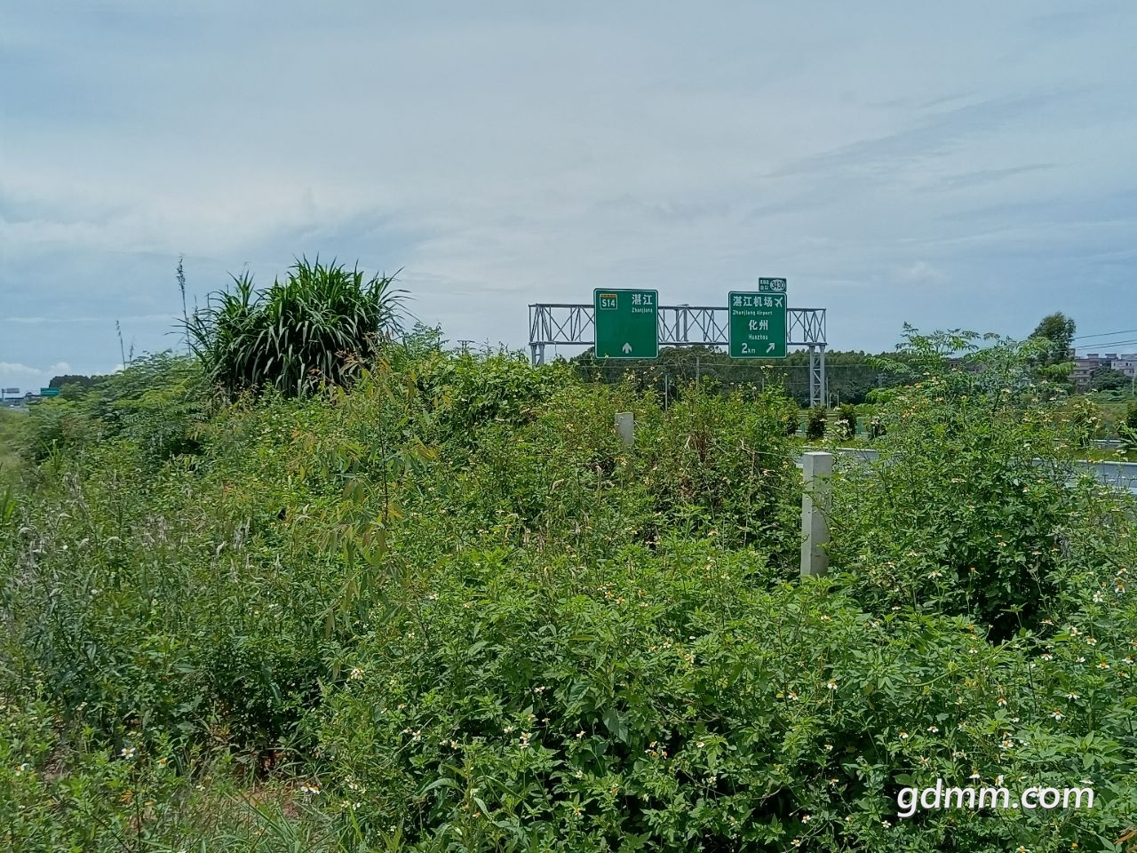 20220818230550front2_0_1590349_FkhJYG2B3RRpdCaHRxBfsZRDMv7Q.jpg