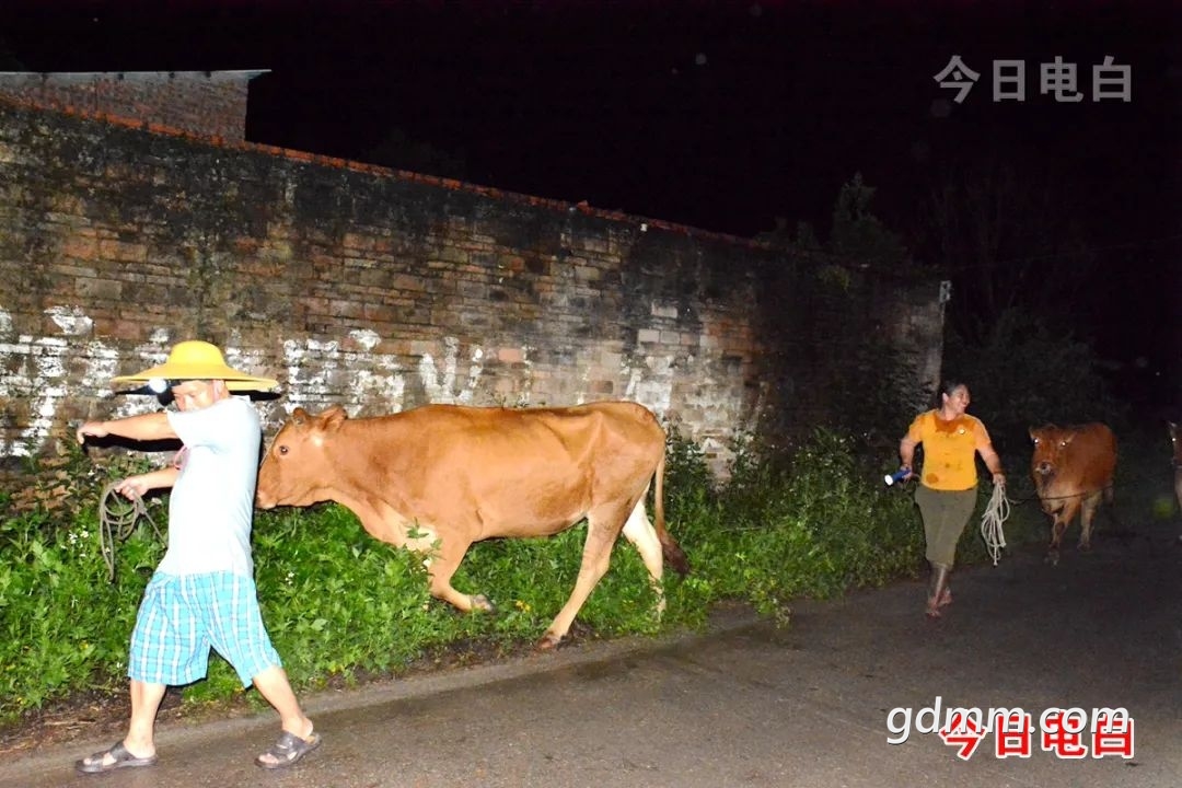 640 (13).jpeg