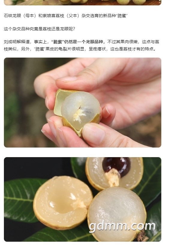 Dingtalk_20220826152307.jpg