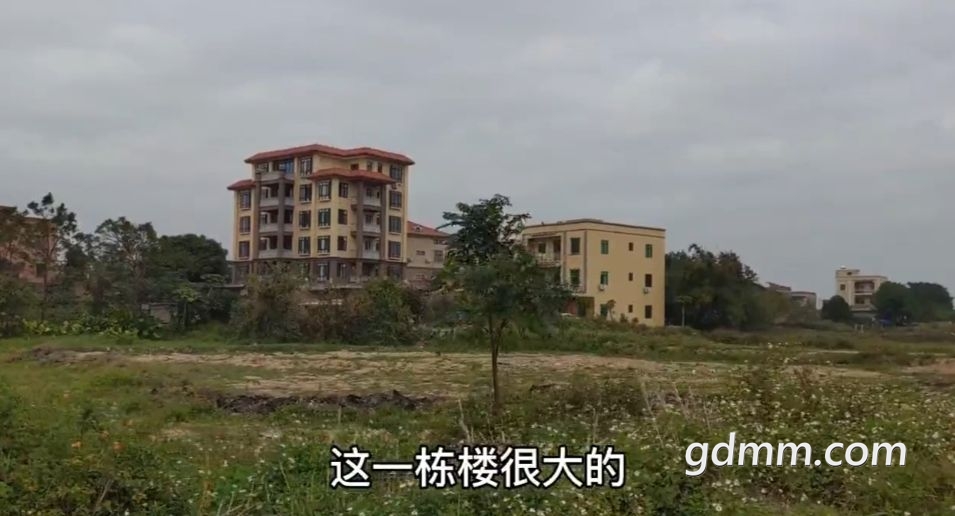 20220827235628front2_0_3375006_Fs1AT_XLSzSQ2thcWiYdHM2OM7Na.jpg