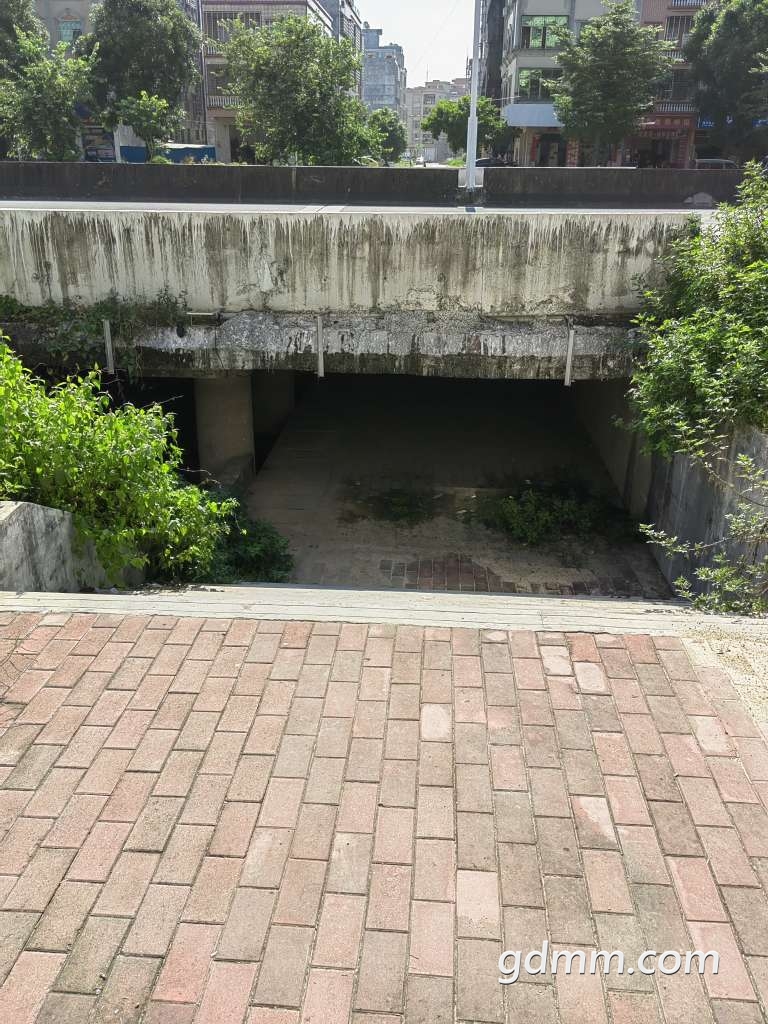 20220903192116front2_0_3377019_FirbChDm1KHCrasNPUsRD85adLgL.jpg