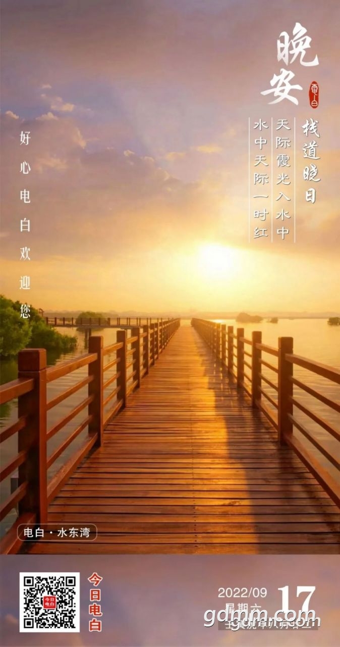 20220923131201front2_0_3377019_FgJIjFm0fAQ1TfMQXmVncg-V4R4D.jpg