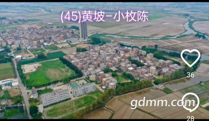 20221004235828front2_0_3375006_FuAMfwrmZ7qStouwEQEw6AlWaW62.png