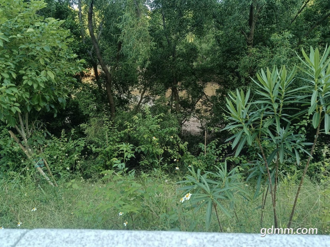 20221005193500front2_0_3381516_Fo_I-wFpDuFTtS30G7wgXIfUDksb.jpg