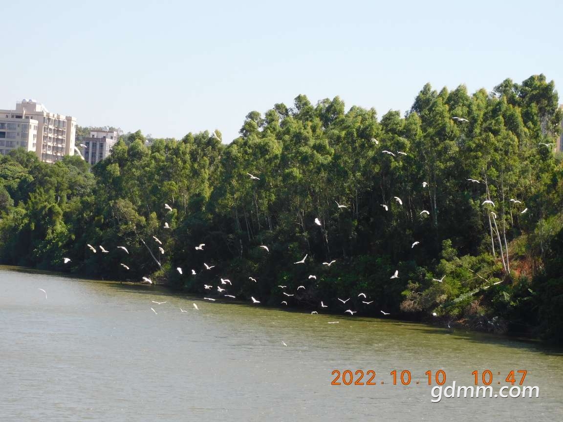 20221010105636front2_0_3377019_FsQ5qy_Wnph4gMOXc2xkNGeJpDPL.jpg