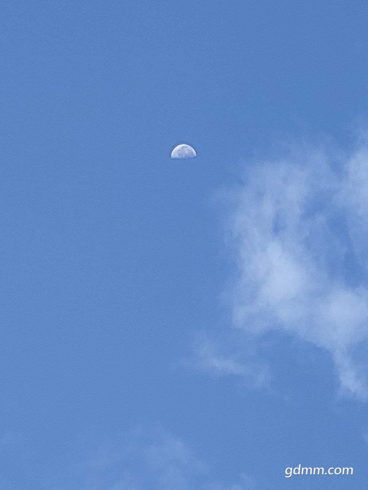 P21017-081154.jpg