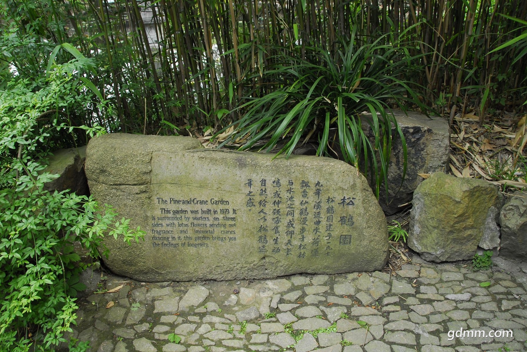98.jpg