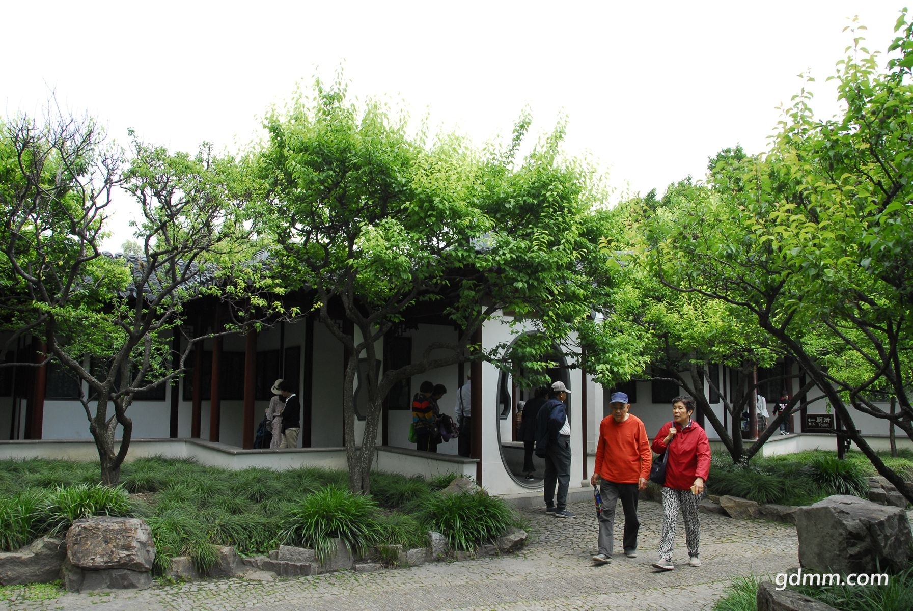 104.jpg
