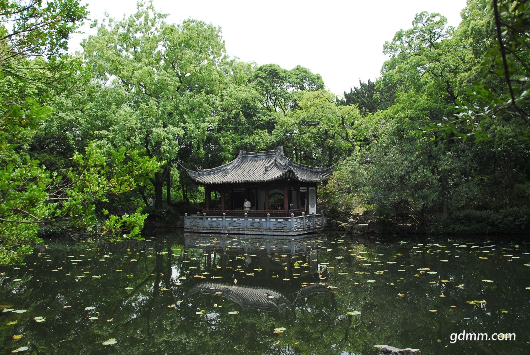 117.jpg