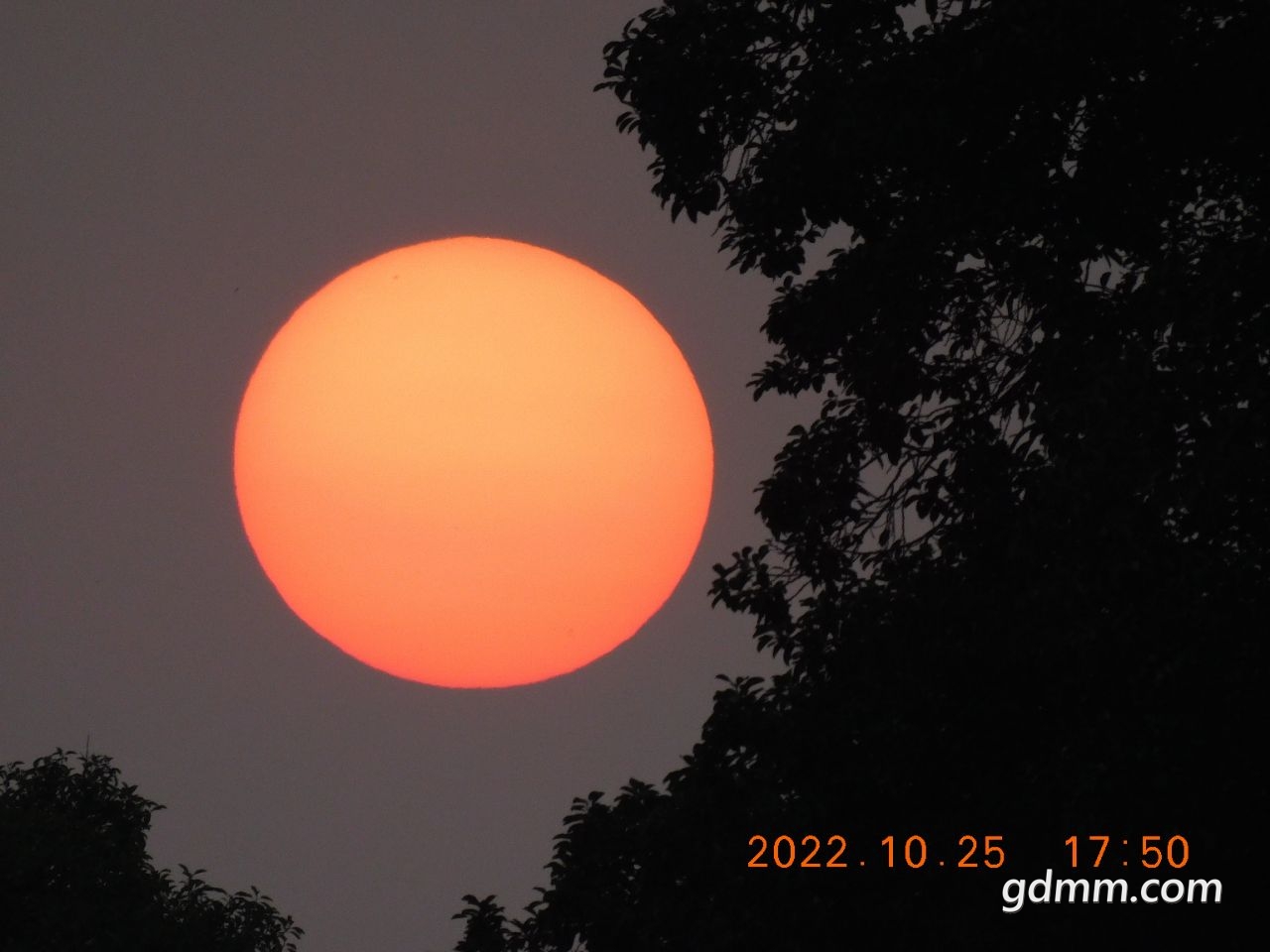 20221026135219front2_0_3377019_FpXwULf9OkHRbVULhJDYSF1Iw0Zn.jpg