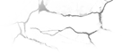 173159izd91tjzd99jutum.png
