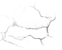 173200oeeo02f44ew4zo4z.png