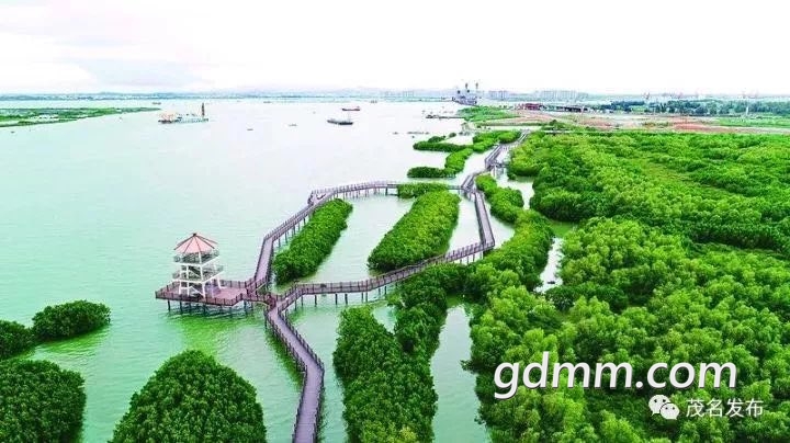 20221103210009front1_0_3279141_FprTrkkSu-yhGhv13m6sd18kwp88.jpg