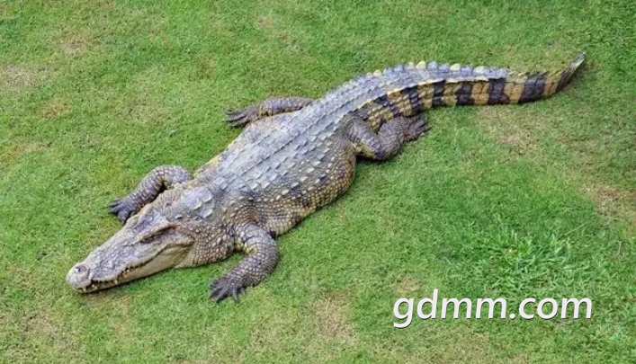΢Žͼ_20220117153141.png
