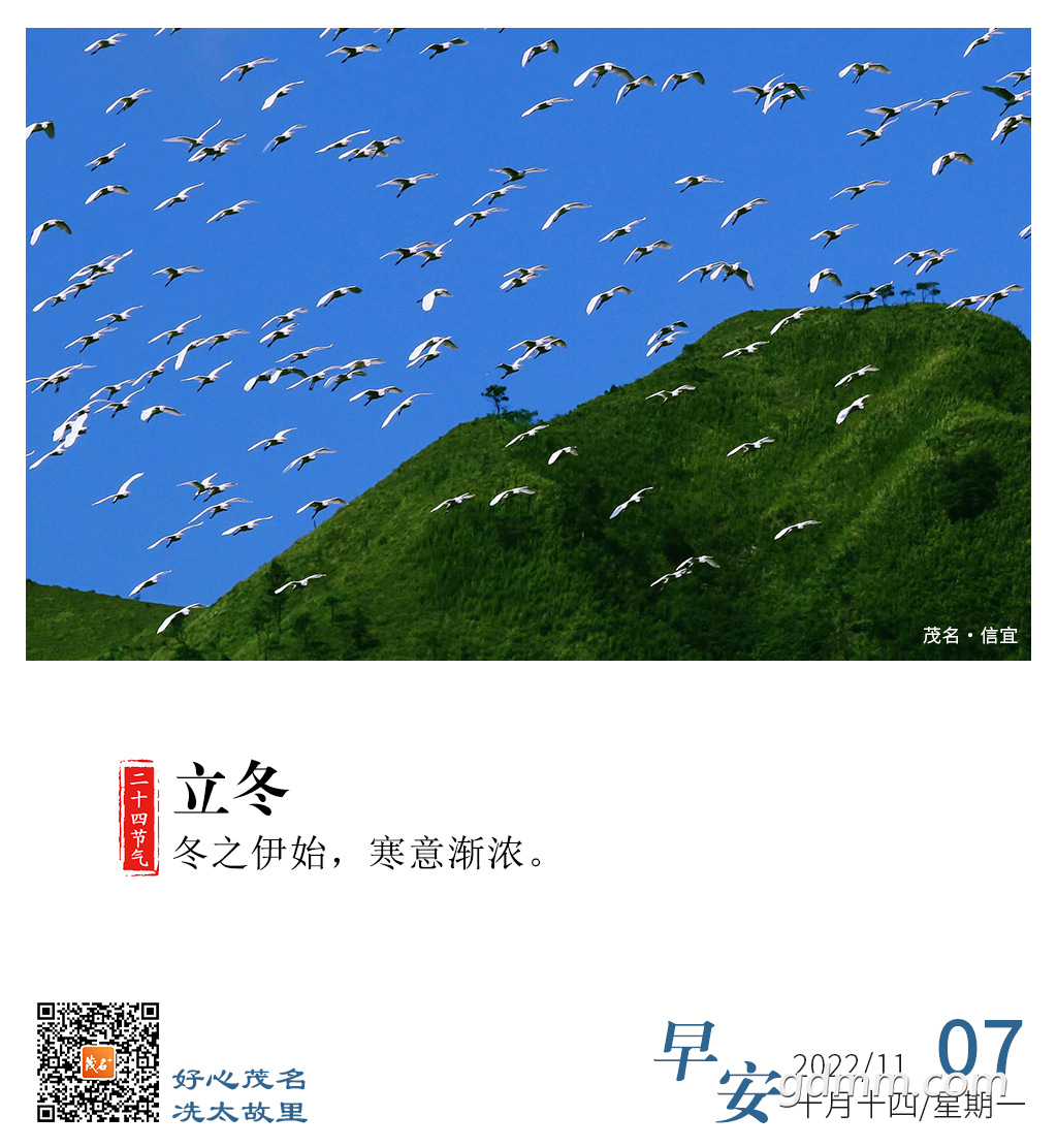 162747dgcpj4nwtz1op4w1.png