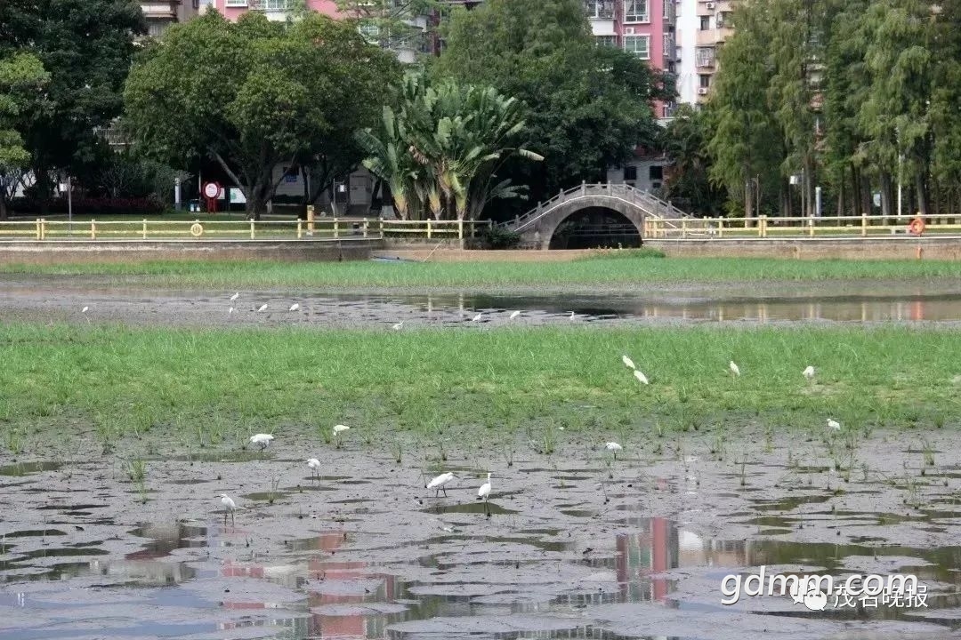 ΢ͼƬ_20221116154427.jpg