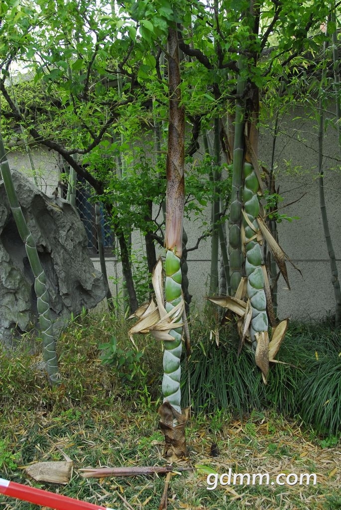 90.jpg