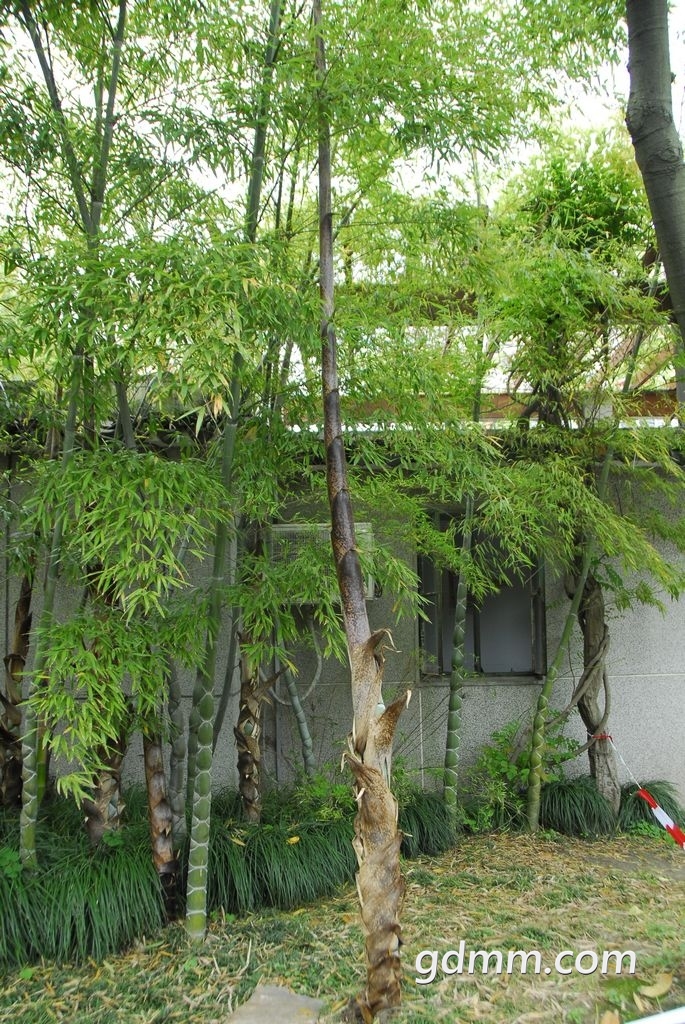 91.jpg
