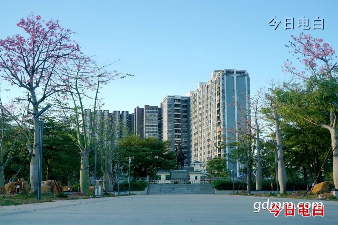 640 (12).jpeg