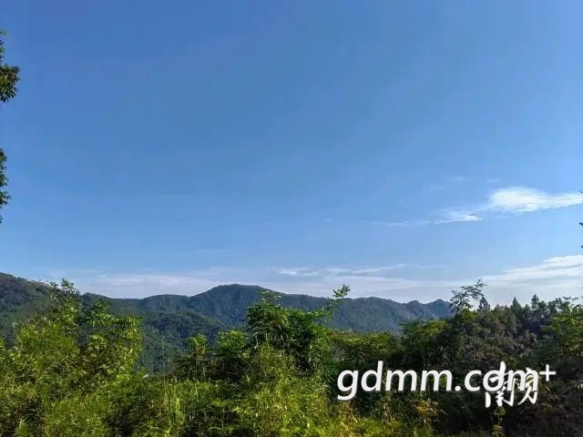 640 (1).jpeg
